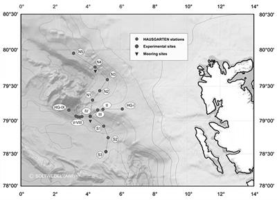 Protist Communities in Moored Long-Term Sediment Traps (Fram Strait, Arctic)–Preservation with Mercury Chloride Allows for PCR-Based Molecular Genetic Analyses